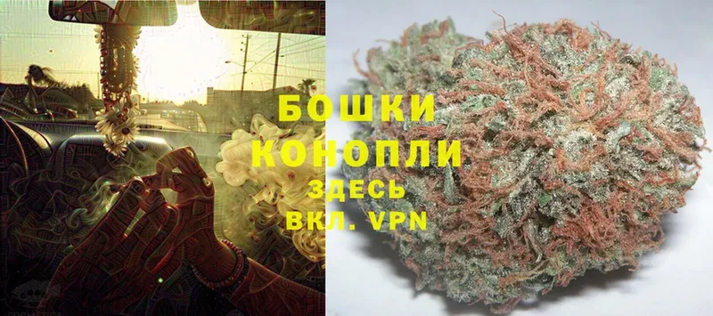 Бошки Шишки план  Кадников 